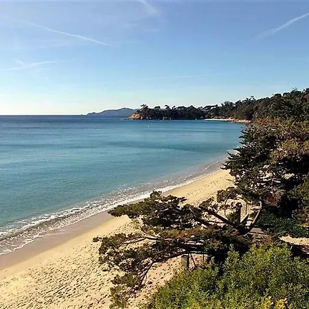 T2 Cabine, 6 Couchages, Terrasse Ouest, 100m Et Commerces, Parking Privatif - Fr-1-251-530 *