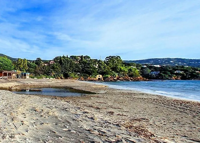 T2 Cabine, 6 Couchages, Terrasse Ouest, 100m Et Commerces, Parking Privatif - Fr-1-251-530 * Le Lavandou